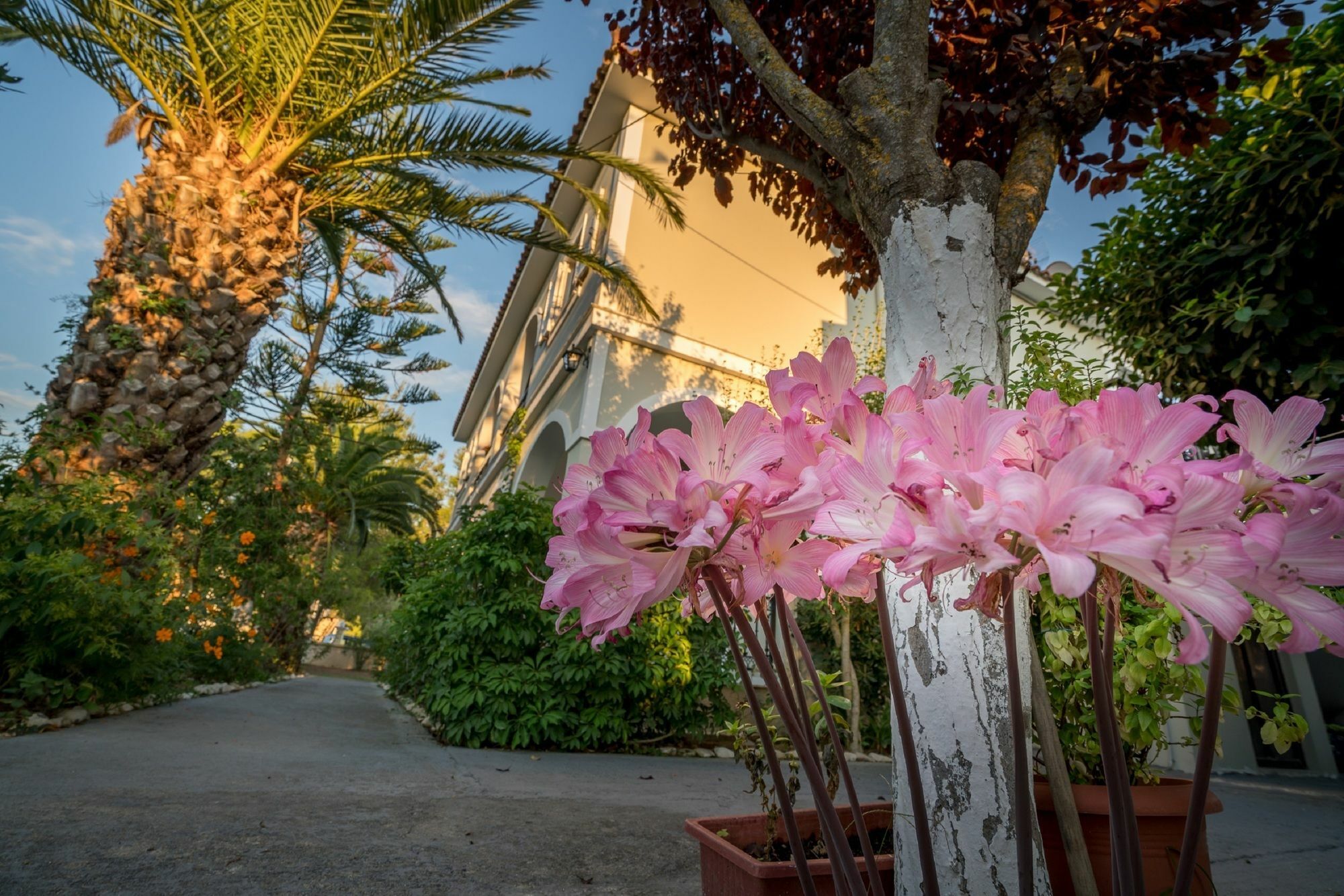 Tota Studios Tsilivi  Exterior foto